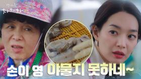공진 할머니 3인방에게 오징어 내장 따기 스킬 전수받는 신민아 #똥손주의 | tvN 210828 방송