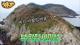 바라만 봐도 힐링 되는 지금🍃 세끼 섬 전망대에서 유해진과 함께 보는 탁 트인 풍경들 | #삼시세끼어촌편5 #Diggle #샷추가