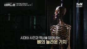 몸에서 가장 먼저 만들어지고 마지막에 완성되는 '쇄골뼈' 로 신원확인이 가능하다!? | tvN STORY 210903 방송