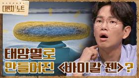 '태양열'이 돌의 중심부까지 전달되지 못해 생긴 ＜바이칼 젠＞?! | tvN 210904 방송