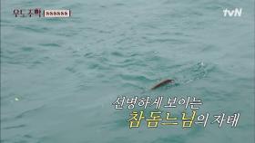 ☆기쁨의 참돔파이브☆ 40cm 참돔 낚시 성공한 문세윤!! | tvN 210906 방송