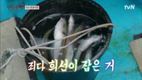 세월이 아니고 고기를 낚는 물고기 부자 ＂희태공♥＂ 김희선 | tvN 210906 방송