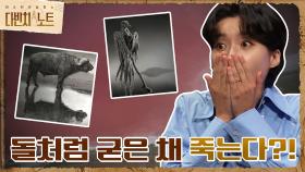 닿기만 해도 돌처럼 굳은 채 죽는다?! ＜나트론 호수＞ 미스터리! | tvN 210911 방송