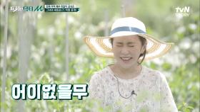 천재 아역 배우 김성은, 이모와 함께 하는 농사 체험 (※19금 주의?) | tvN STORY 210913 방송