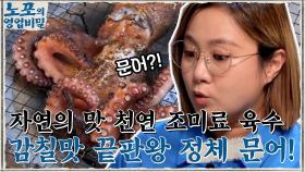 씹을수록 느껴지는 감칠맛의 정체 '문어' 자연의 맛을 살린 천연 조미료 육수!! | tvN 210913 방송