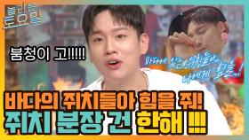 바다의 쥐치들아 힘을 줘!! 국내 최초 쥐치 분장 건 한해, 과연 그 결과는?! | tvN 210911 방송