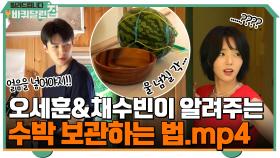 막내 채수빈&오세훈이 알려주는 수박을 시원하게 보관하는 법.mp4 | tvN 210920 방송
