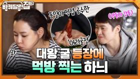 동일이 직접 공수한 '어리굴젓' 대왕 굴 등장에 먹방 찍는 하늬 ㅇ0ㅇ | tvN 211014 방송