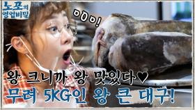 왕 크니까 왕 맛있다♥ 일반 대구보다 유독 큰 힙포의 대구, 무려 5KG?! ㅇ0ㅇ | tvN 211018 방송