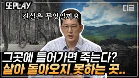 한 번 들어가면 나올 수 없는 죽음의 산?! 가는 사람마다 흔적도 없이 사라지는 미스터리한 실종 | #프리한19 #디글 #또PLAY