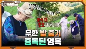 꿀 말고 이거 따자 ^^ 무한 밤 줍기 중독된 영옥 (+잊힌 메밀꿀..^_ㅠ) | tvN 211028 방송