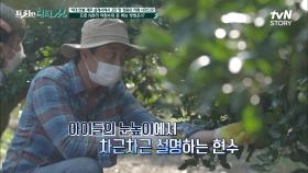 카페 앞에 펼쳐진 정원♥ 귀여운 아이들 속이고(?) 함께하는 즐거운 청귤 따기~ | tvN STORY 211101 방송