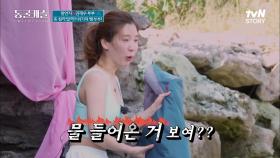 얼렁뚱땅(?) 동굴 꾸미기! 햄부부가 예상하지 못한 최악의 위기..? ㅇ0ㅇ | tvN STORY 211102 방송