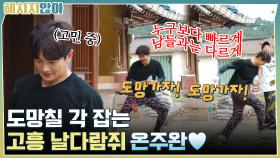 도망가자!! 잔디 깔다 도망칠 각 잡는 고흥 날다람쥐 온주완♥ | tvN 211102 방송