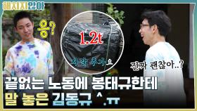 여기 자갈 1.2톤 추가요~ 끝없는 노동에 봉태규한테 말 놓은 김동규 ^.ㅠ | tvN 211102 방송