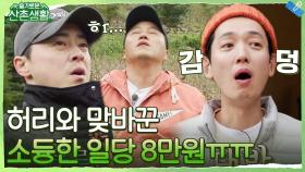 웰컴 투 옥수수 지옥! 옥수수 브라더스의 허리와 맞바꾼 소듕한 일당 8만원 (심히 감동) | tvN 211105 방송