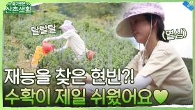 신현빈 뜻밖의 재능 발견?! 수확이 제일 쉬웠어요♥︎ | tvN 211015 방송