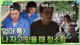 엄마 요정 해숙의 손길에 새벽 사이 깨끗해진 슬촌하우스와 안절부절 당황한 아들들ㅋㅋ | tvN 211029 방송