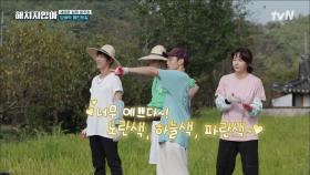 드디어 완성된 페가 하우스의 외벽 페인트!! (feat. 봉태규의 텐션 차이 무엇?) | tvN 211123 방송