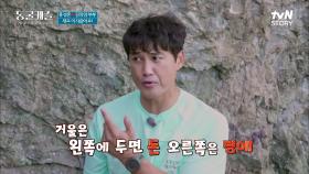풍수 홍 선생의 풍수지리 체크! 남편에게도 알려줄 수 없는 정임의 주식 현황 ㅋㅋ | tvN STORY 211123 방송