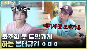 진심으로 소름 돋았어♨ 윤주희 못 도망가게하는 봉태규?! ㅇㅁㅇ | tvN 211123 방송