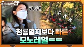 청룡열차보다 훨씬 빠른, 놀라운 속도의 모노레일 ㄷㄷ (feat. 머쓱한 선글라스) | tvN 211125 방송