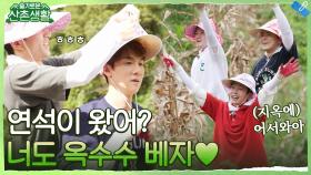 산촌으로 돌아온 추가 일꾼 연석 등장! 옥수수 밭으로 바아로 모실게요 | tvN 211119 방송