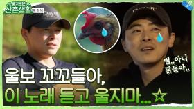 [하드털이] (최/초/공/개) 울보 꼬꼬들을 향한 감성 세레나데.. ♬액터조 - Don't cry♬ | tvN 211203 방송
