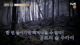 [예고] 죽음의 숲, 그리고 현실판 좀비?! #다빈치노트 #최종화
