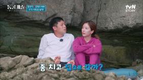 종 치자는 햄편의 제안?! 꽁냥꽁냥 동굴캐슬의 비타민, 햄부부의 마지막 ㅠ_ㅠ | tvN STORY 211207 방송