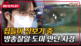 [온앤오프] 방송 천재 도미와 함께하는 주부9단 식영이의 장보기 | EP.11