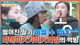 딸기가 떨어져 버렸네?^^ 딸기 따다가 먹방 찍는 먹헤이 & 가비 & 리정이 ㄱㅇㅇ...☆ | tvN 220203 방송