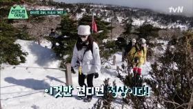 이거만 견디면 정상이다!! 한라산 백록담까지 정신력으로 등산하는 산꾼즈♨ #유료광고포함 | tvN 220304 방송