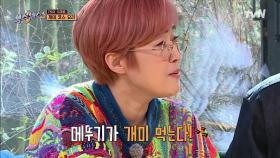 ※컬쳐쇼크※ 메뚜기가 개미 먹는다! 식혜 소르베에 찐으로 개미를 넣어 먹는 식센이들?! | tvN 220318 방송