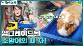띵동~♪ 제작진의 선물이 도착했습니다♡ 업그레이드된 기니피그 소망이의 새 차! | tvN 220407 방송