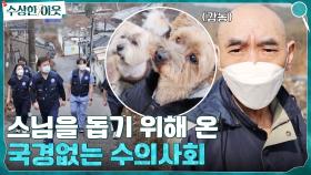 강아지들의 변신은 무죄☆ 스님을 돕기 위해 국경없는 수의사회가 나섰다! | tvN 220421 방송