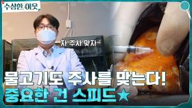 물고기도 주사를 맞는답니다! 지금 가장 중요한 것은 SPEED☆ | tvN 220421 방송