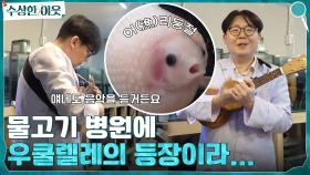 물고기 병원에 우쿨렐레의 등장이라... 못말리는 의사 쌤의 물고기 사랑♡ | tvN 220421 방송