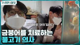환자, 아니 환어를 구하라! 금붕어를 치료하러 왕진을 다니는 물고기 의사 | tvN 220421 방송