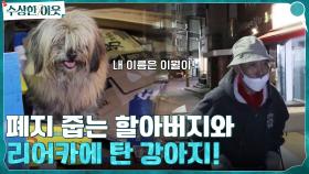 폐지를 줍는 할아버지의 리어카에, 강아지가 함께? 십년지기 친구 이월이 | tvN 220421 방송