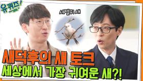 세상에서 가장 귀여운 새부터 → 가장 빠른 새까지! 새덕후의 새 토크 | tvN 220427 방송