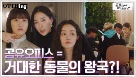 ※팝콘각※ 일부터 연애까지 ssap가능한 이곳 '공유오피스' | tvN 220502 방송