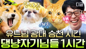 (1시간) 자동으로 입가에 미소 지어지는 유퀴즈 멍냥이 자기님들 1시간 모음🐶🐱 그 유명한 유재석 깜짝 놀라게한 보름이와 안내견 조이까지 | #유퀴즈온더블럭 #디제이픽