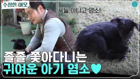 (깜찍) 졸졸 쫓아다니는 아기 염소😍 지극정성으로 보살피는 승마장 원장님 | tvN 220512 방송