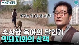수상한 육아의 달인! 오란다고 오는 순한 멧돼지와의 산책(멧돼지VS말 승자는?!) | tvN 220512 방송