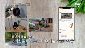 믓찌다 울언니들! 갱년기 극복을 위해 '슈퍼푸드 프로젝트' 도전💖 | tvN STORY 220515 방송
