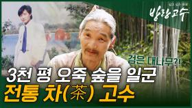 지리산 산신령? 나그네이올시다~ 3천 평 땅에 검은 대나무 심은 전통차(茶) 고수!! #highlight