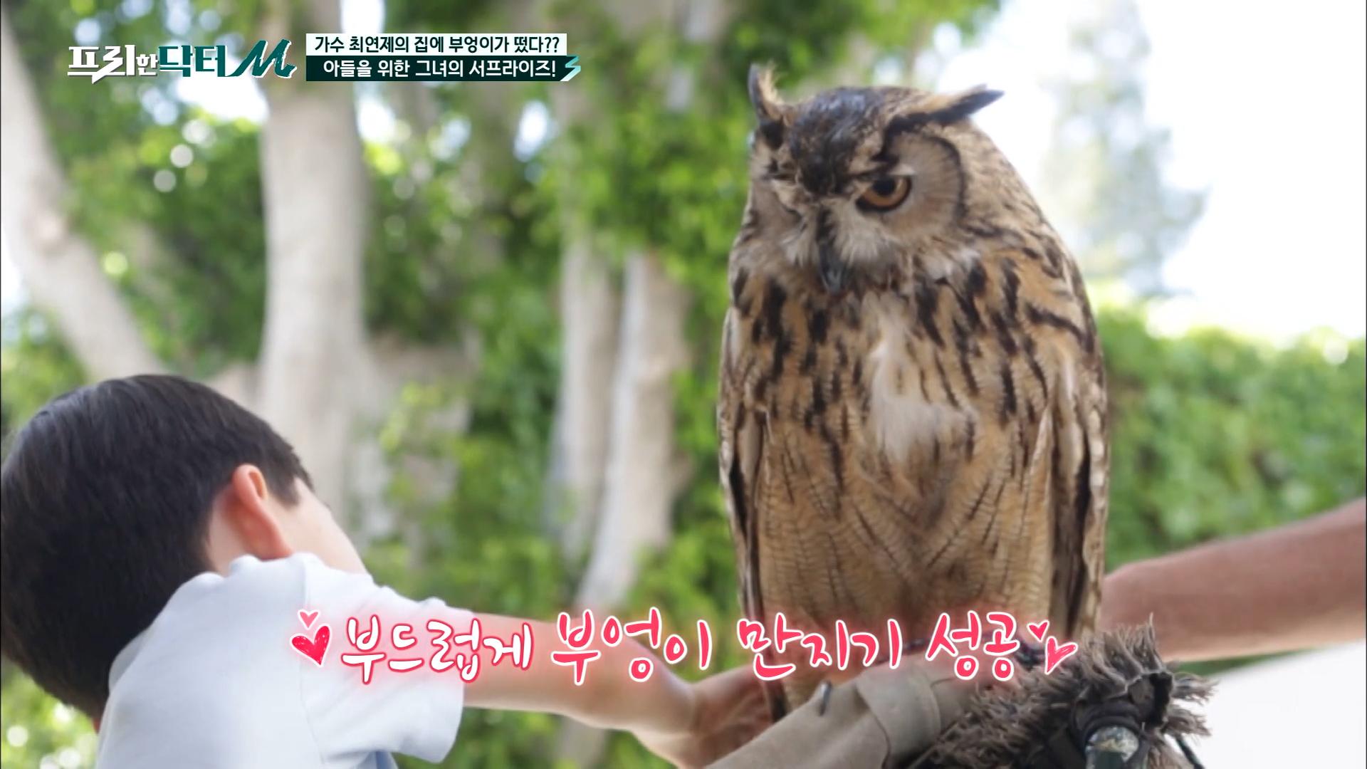 부엉이 체험을 집에서 할 수 있다고? 아들을 위해 이벤트를 준비한 최연제✨ | tvN 220523 방송 | ZUM TV