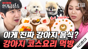 강아지 코스요리가 있다?🐶 강아지들을 반하게 한 에피타이저부터 양식, 한식 그리고 디저트까지 | #식스센스3 #인기급상승