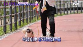 일상생활까지 어려워져버린 강리나o(TヘTo) 다리 부상 이후 방치했더니 더 이상 걷지 말라고 해요... | tvN STORY 220715 방송